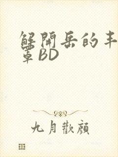 解开岳的丰满奶罩BD
