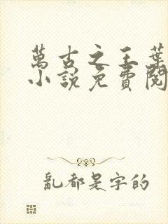 万古之王叶无双小说免费阅读