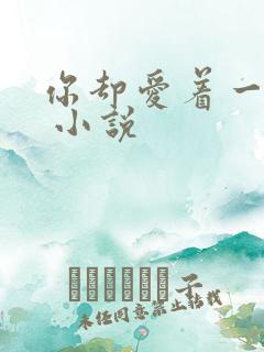 你却爱着一个他 小说