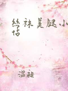 丝袜美腿小说网站