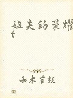 姐夫的荣耀txt