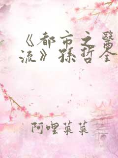 《都市之医武风流》孙哲全文阅读,