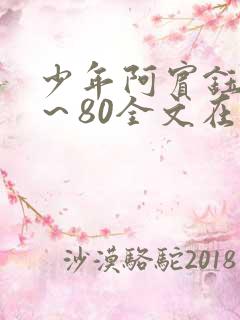 少年阿宾钰慧1～80全文在