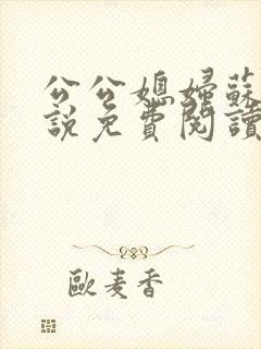 公公媳妇苏玥小说免费阅读