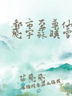 都市至尊仙医陈飞宇苏映雪小说