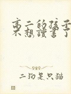 高二的孩子厌学不想读书了咋办