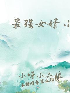 最强女婿 小说