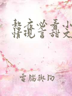 熬夜必看小说言情现言甜文