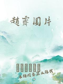 赵霁图片