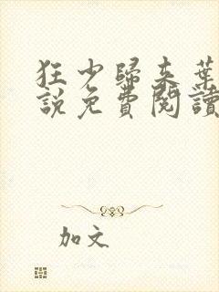 狂少归来叶修小说免费阅读全文无删减