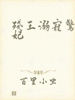 残王溺宠惊世医妃