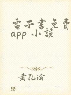 电子书免费阅读app 小说