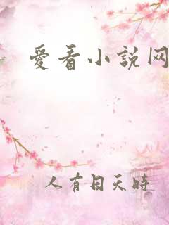 爱看小说网