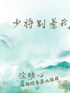 少将别惹我