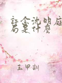 许念沈明庭大结局是什么