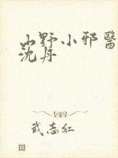 山野小邪医叶凡沈丹