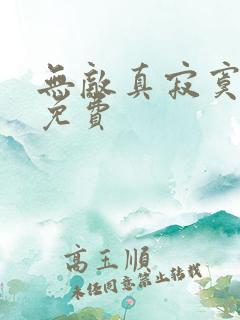 无敌真寂寞小说免费