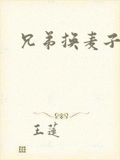 兄弟换麦子4