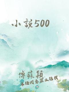 小说500