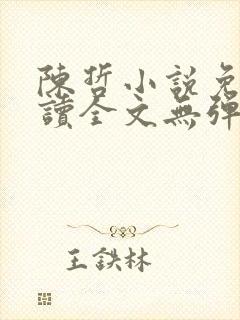 陈哲小说免费阅读全文无弹窗