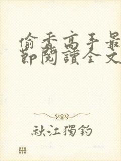 偷香高手最新章节阅读全文