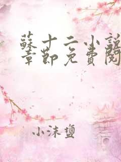 苏十二小说最新章节免费阅读全文