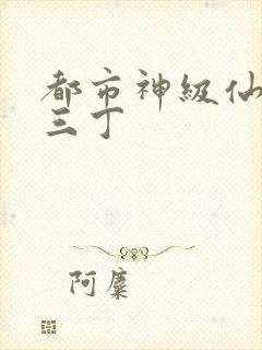 都市神级仙医 三丁