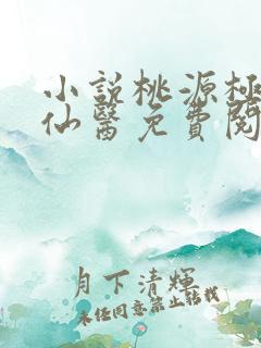 小说桃源极品小仙医免费阅读