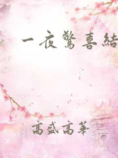 一夜惊喜结局