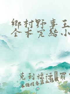 乡村野事王小二全本完结小说免费阅读