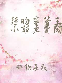 楚昀宁萧王穿越小说免费阅读无弹窗