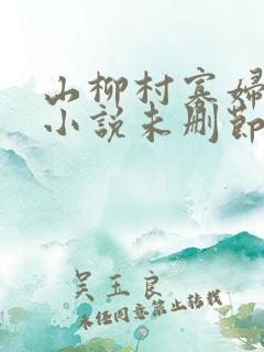 山柳村寡妇情史小说未删节版免费阅