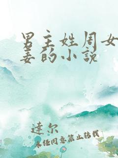 男主姓周女主姓姜的小说