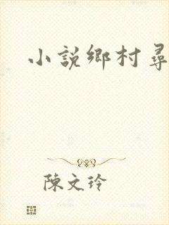 小说乡村寻艳王