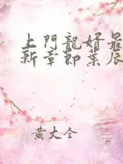 上门龙婿最新更新章节叶辰萧初然