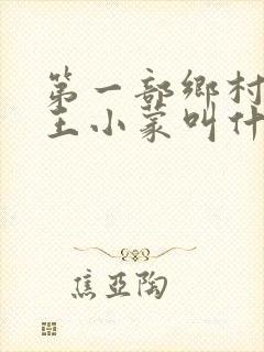 第一部乡村爱情王小蒙叫什么
