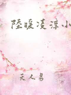 陆暖凌淳小说