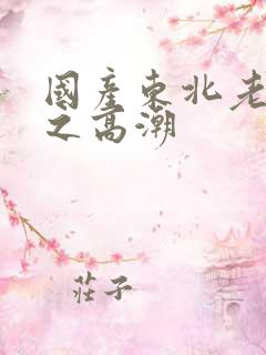 国产东北老女人之高潮