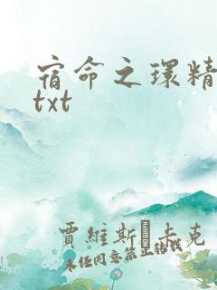 宿命之环精校版txt