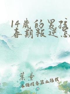 14岁的男孩青春期叛逆怎么办