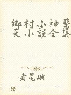 乡村小神医林小天小说全集