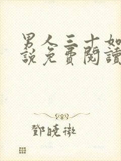 男人三十如狼小说免费阅读全文