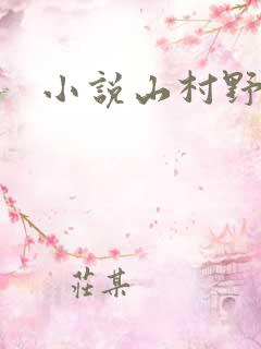 小说山村野事