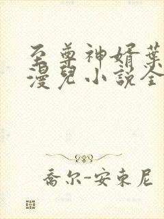 至尊神婿叶昊郑漫儿小说全集5248
