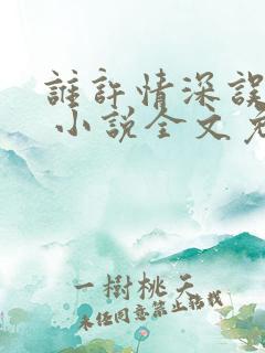 谁许情深误浮华 小说全文免费阅读