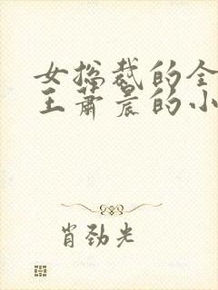 女总裁的全能兵王萧晨的小说