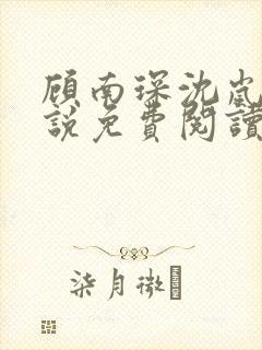 顾南琛沈岚晚小说免费阅读最新章节更新