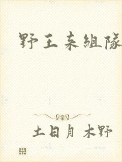 野王来组队小说
