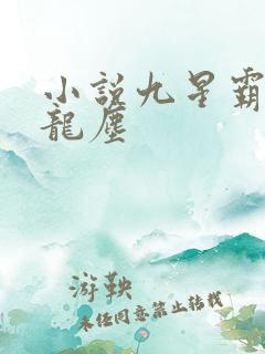 小说九星霸体诀龙尘