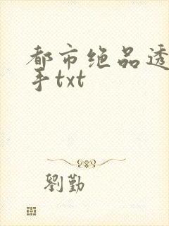 都市绝品透视高手txt
